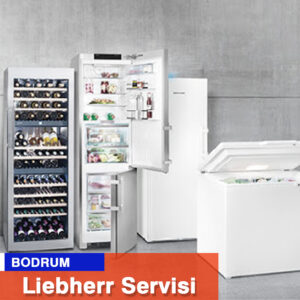 Bodrum Liebherr Servisi Endüstriyel Servis