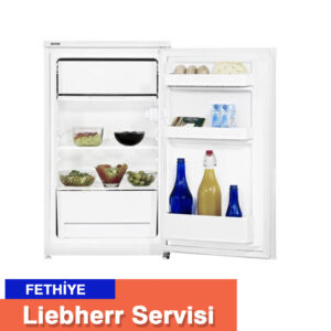 Fethiye Liebherr Servisi Endüstriyel Servis