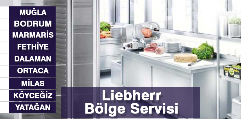 Mugla Liebherr Servisi Endustriyel Mutfak Bakim Onarim Servis Tamircisi